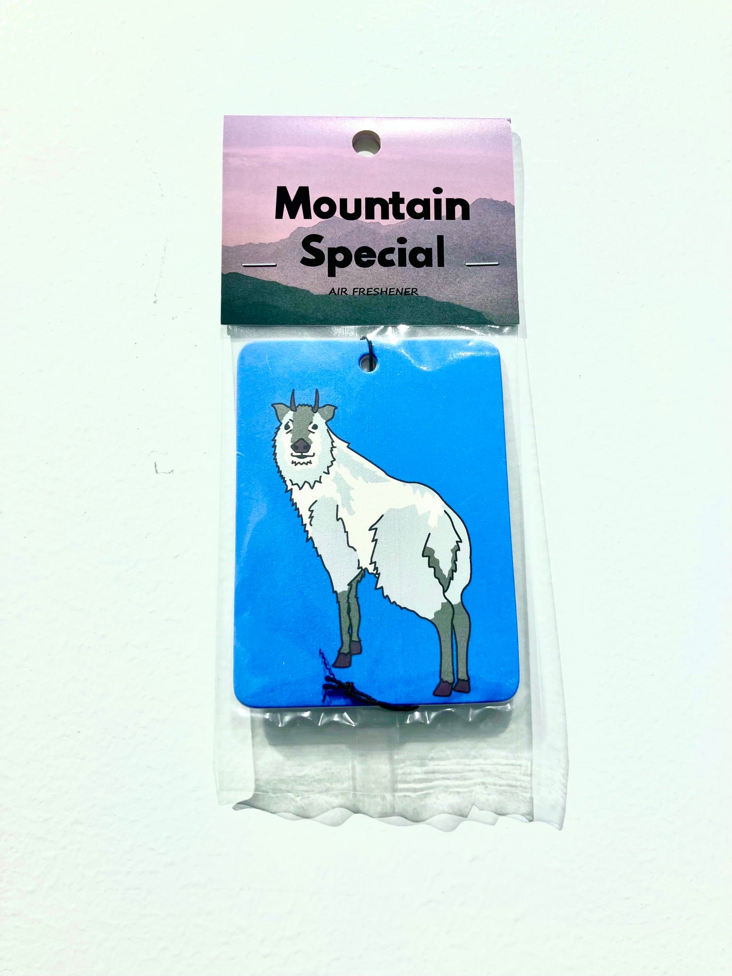 Air Freshener